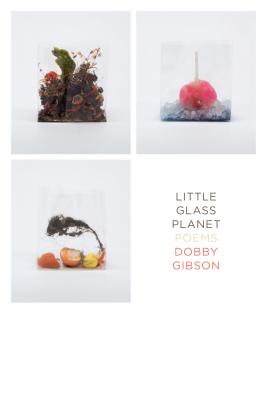 Cover for Little Glass Planet