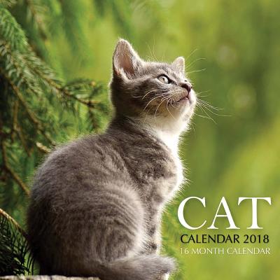 Cat Calendar 2018: 16 Month Calendar By Paul Jenson Cover Image