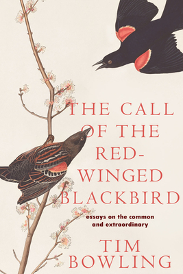 The Call of the Red-winged Blackbird: Essays on the Common and Extraordinary By Tim Bowling Cover Image