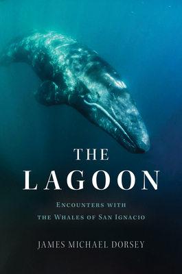 The Lagoon: My Journeys with the Gray Whales of San Ignacio By James Dorsey Cover Image