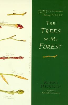The Trees in My Forest By Bernd Heinrich Cover Image