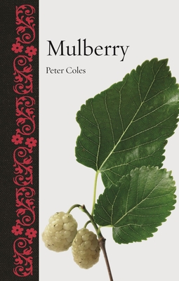 Mulberry (Botanical)