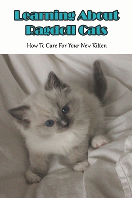 Learning About Ragdoll Cats_ How To Care For Your New Kitten: Ragdoll Cats Book By Cassy Balcitis Cover Image