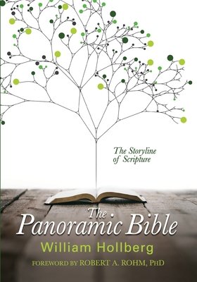 The Panoramic Bible: The Storyline of Scripture By William Hollberg Cover Image