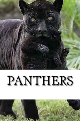 Panthers Cover Image