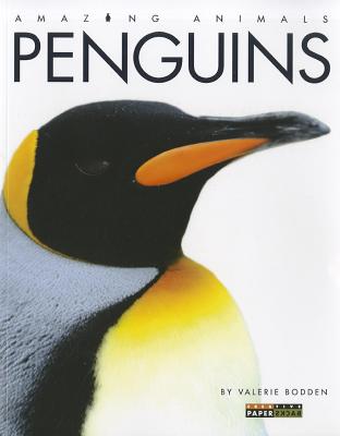 Amazing Animals: Penguins Cover Image