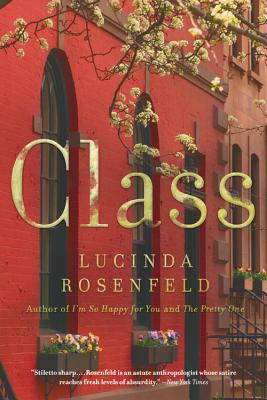 Class By Lucinda Rosenfeld Cover Image