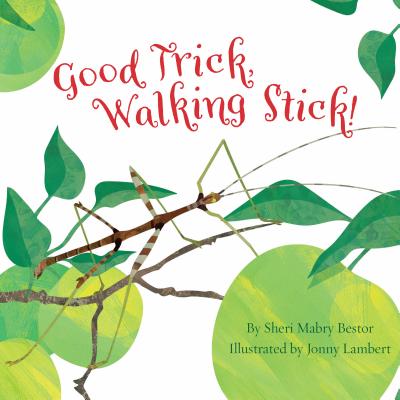 Cover for Good Trick Walking Stick