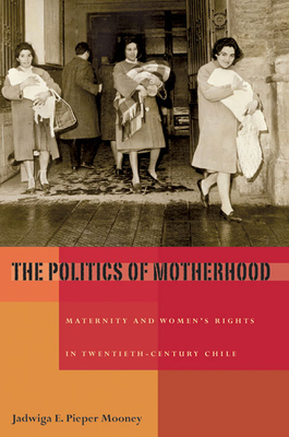 Cover for The Politics of Motherhood