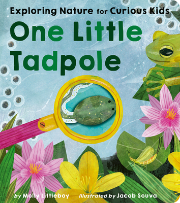 Little Wilders store tadpole