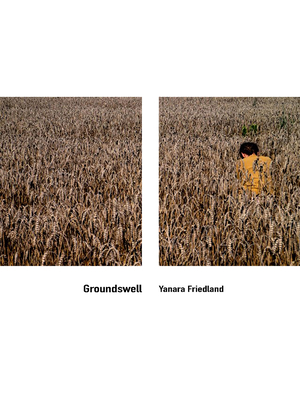 Groundswell By Yanara Friedland Cover Image