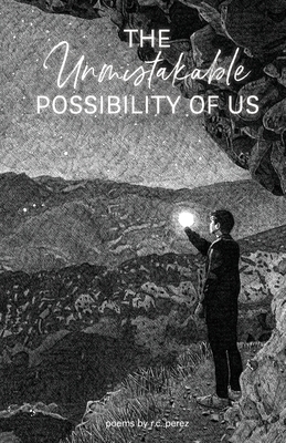 The Unmistakable Possibility of Us Cover Image