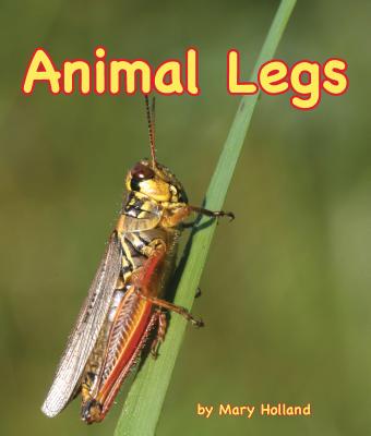 Animal Legs Cover Image