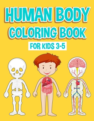 human organ systems for kids