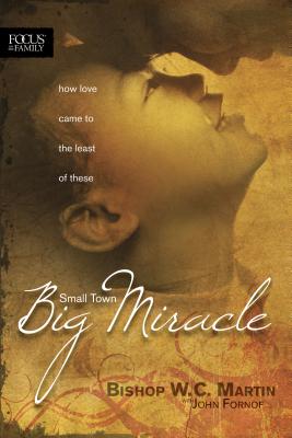 Small Town, Big Miracle: How Love Came to the Least of These (Focus on the Family Books) By W. C. Martin Cover Image