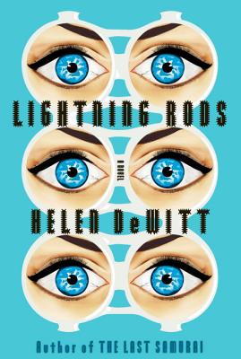 Lightning Rods Cover Image