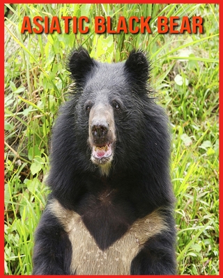 Asiatic Black Bear Facts