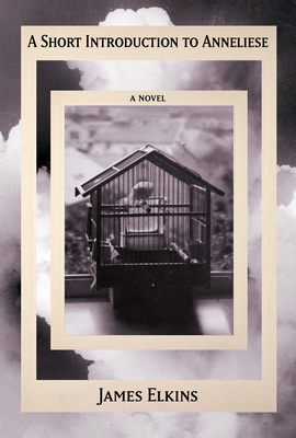 A Short Introduction to Anneliese By James Elkins Cover Image