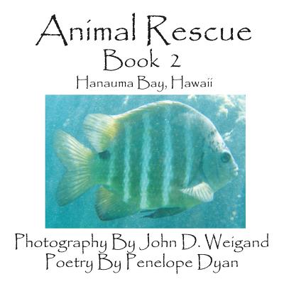 Animal Rescue, Book 2, Hanauma Bay, Hawaii By John D. Weigand (Photographer), Penelope Dyan Cover Image