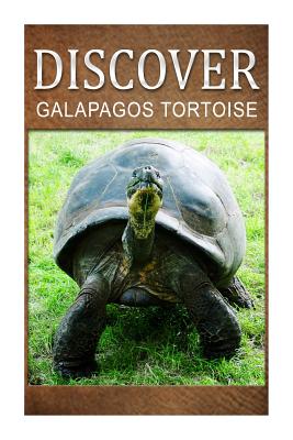 Galapagos Tortoise - Discover: Early reader's wildlife photography book