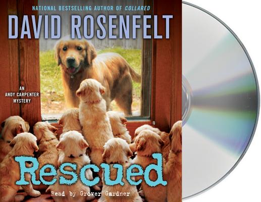 Rescued: An Andy Carpenter Mystery (An Andy Carpenter Novel #17)