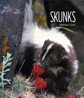 Living Wild: Skunks