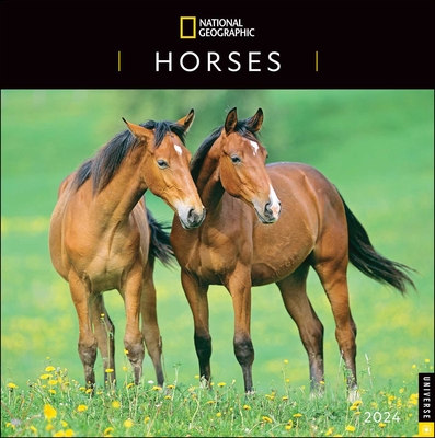 National Geographic: Horses 2024 Wall Calendar By National Geographic, Disney Cover Image