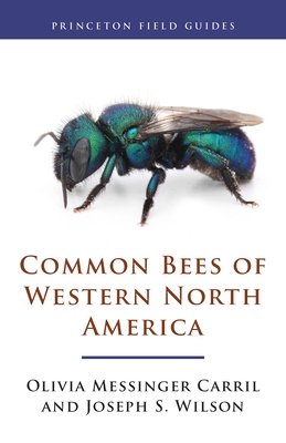 Common Bees of Western North America By Olivia Messinger Carril, Joseph S. Wilson Cover Image