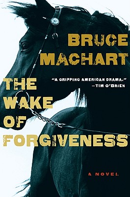 Cover Image for The Wake of Forgiveness
