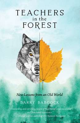 Teachers in the Forest: New Lessons from an Old World By Barry Babcock, Daniel J. Rice (Editor) Cover Image