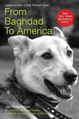 From Baghdad to America: Life after War for a Marine and His Rescued Dog Cover Image