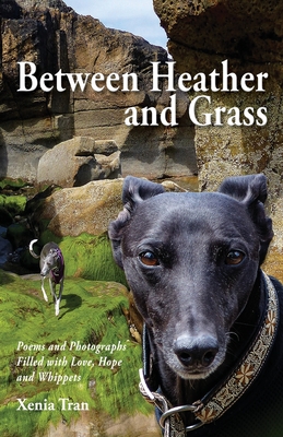 Cover for Between Heather and Grass