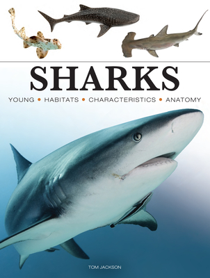 Sharks (Mini Encyclopedia) Cover Image