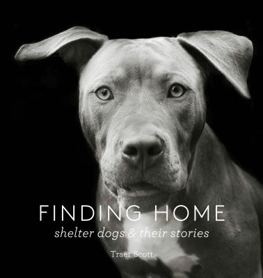 Finding Home: Shelter Dogs and Their Stories (A photographic tribute to rescue dogs) By Traer Scott Cover Image