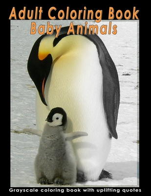 Download Adult Coloring Book Baby Animals A Grayscale Coloring Book With Relaxing Images Of Adorable Baby Animals And Inspirational Quotes For Beginners Inte Paperback Vroman S Bookstore