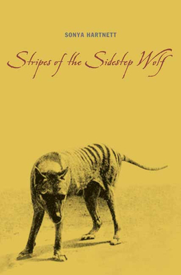 Stripes of the Sidestep Wolf Cover Image