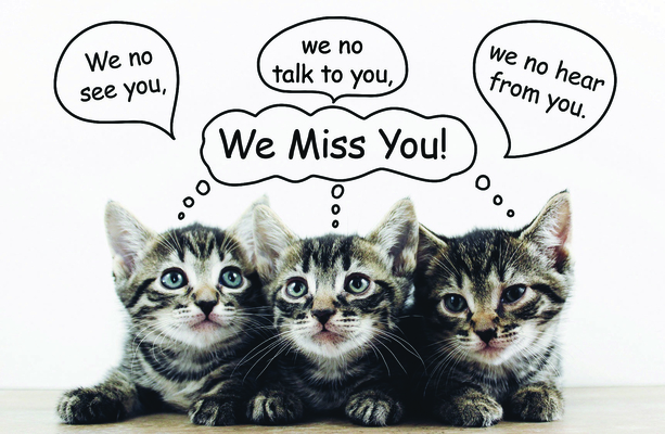 We Miss You Postcard (Pkg 25) Miss You By Broadman Church Supplies Staff (Contribution by) Cover Image