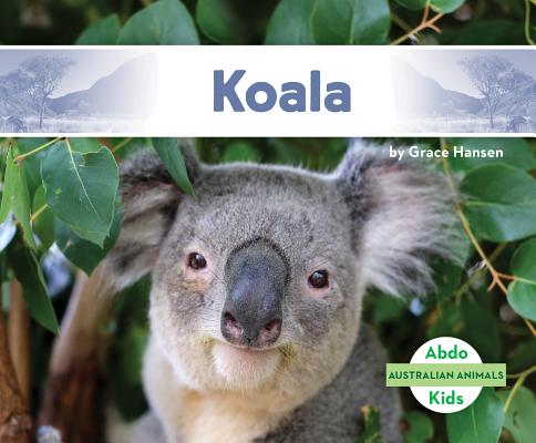 Koala Cover Image