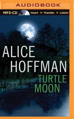 Cover for Turtle Moon
