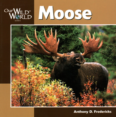 Moose -OSI (Our Wild World)