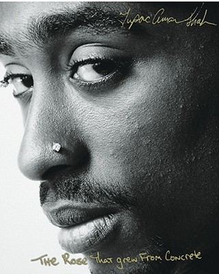 The Rose That Grew From Concrete By Tupac Shakur Cover Image