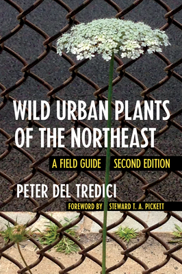 Wild Urban Plants of the Northeast: A Field Guide By Peter del Tredici, Steward T. a. Pickett (Foreword by) Cover Image