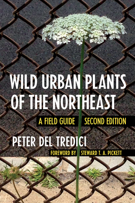 Wild Urban Plants of the Northeast: A Field Guide Cover Image