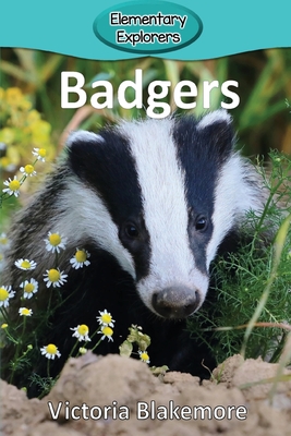 Badgers (Elementary Explorers #82) By Victoria Blakemore Cover Image