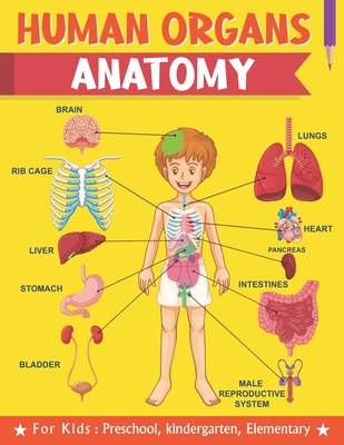 Human Organs Anatomy For Kids Preschool kindergarten Elementary: Learning human anatomy kids & toddlers, book for preschooler, kindergarten for Boys,