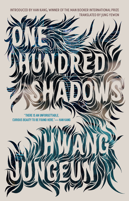 One Hundred Shadows Cover Image