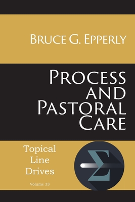 Process and Pastoral Care (Topical Line Drives #33) By Bruce G. Epperly Cover Image