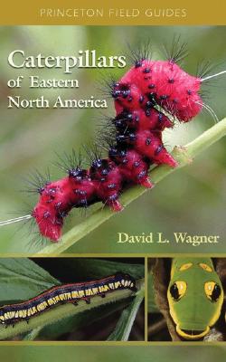 Caterpillars of Eastern North America: A Guide to Identification and Natural History (Princeton Field Guides #36)