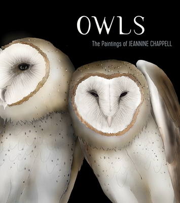 Owls: The Paintings of Jeannine Chappell By Jeannine Chappell Cover Image