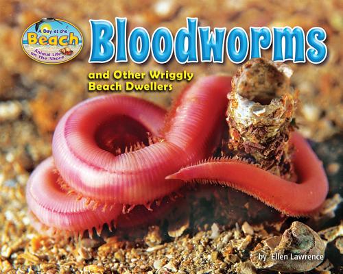 Bloodworms and Other Wriggly Beach Dwellers (Day at the Beach: Animal Life on the Shore) By Ellen Lawrence, Matt Bentley Cover Image